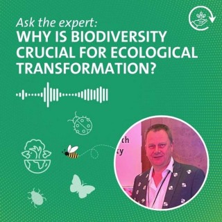 Why is biodiversity crucial for ecological transformation?